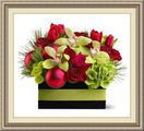 Ladybug Florist & Gift Shoppe, 561 Hartford Pike, Dayville, CT_06241, (860)_779-2000